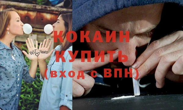 индика Белоозёрский